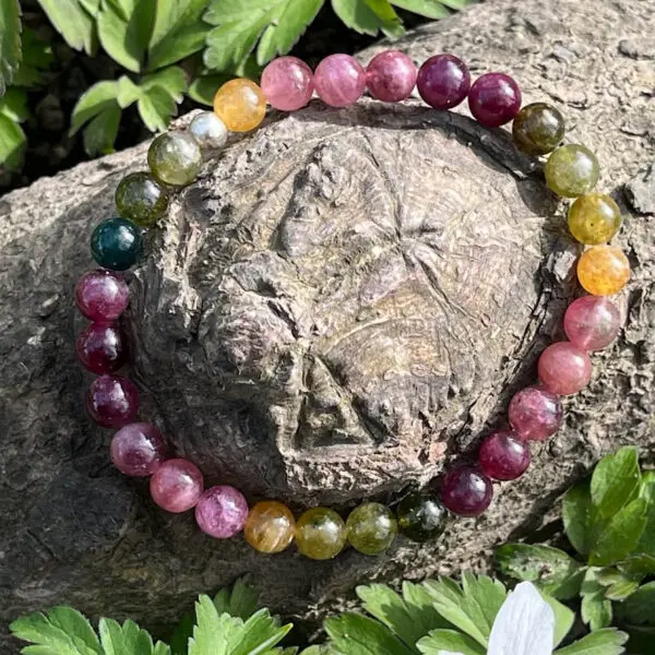 Der Untergrund ist eine Baumwurzel in einer Wiese. Darauf ist ein Armband aus farbigem Turmalin zu sehen.